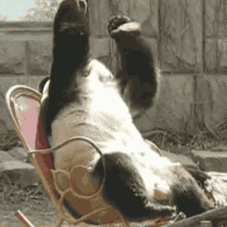 Haga clic en la imagen para ver una versión más grande

Nombre:	Panda.gif
Visitas:	74
Size:	1.018,4 KB
ID:	684