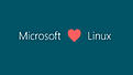 Haga clic en la imagen para ver una versión más grande

Nombre:	ms_loves_linux_story.jpg
Visitas:	380
Size:	15,0 KB
ID:	36411